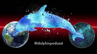 Dolphin ECHOES - Bonzo Dog Band, Mr. Apollo