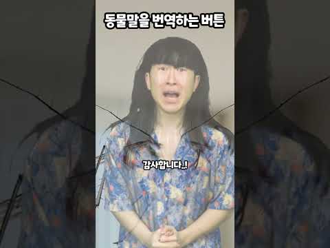 동물말을 번역하는 버튼