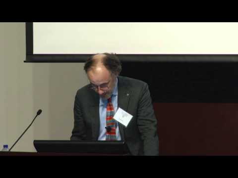 MacLean Conference 2014- Daniel Brauner