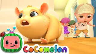 Lost Hamster  CoComelon Nursery Rhymes & Kids Songs