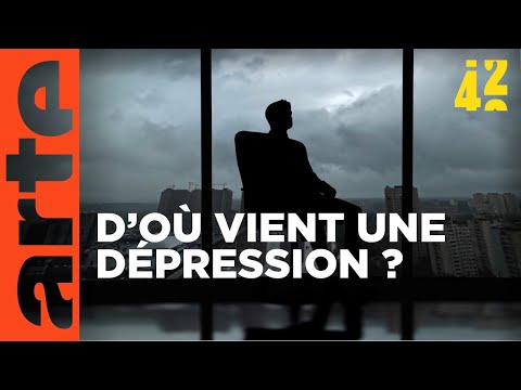 Qu’est-ce qui nous rend dépressifs ? | 42 - La réponse à presque tout | ARTE