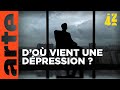 Qu Est Ce Qui Nous Rend Dépressifs 42 La Réponse à Presque Tout ARTE