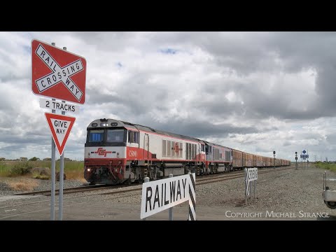 4PM9 SCT Freight Train With Boxcars Recovered From Inverleigh Derailment  (16/11/2022) - PoathTV