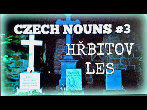 Czech Nouns #3 - Masculine Sub-Paradigm LES