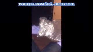 VIDEO: Zeci de percheziții la Sibiu - Traficanți de droguri săltați de mascați - Au fost găsite arme, bani și cannabis 1 video