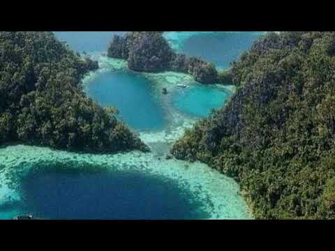 🏖️ sombori islands 🌏 Morowali central Sulawesi