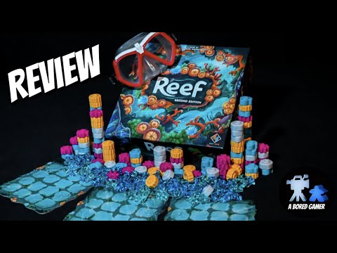 Reef an undersea adventure Review done on land