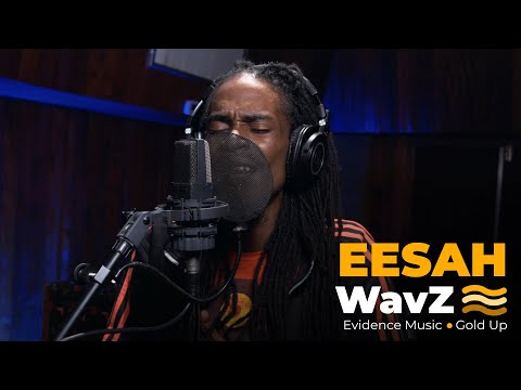 Evidence Music and Little Lion Sound