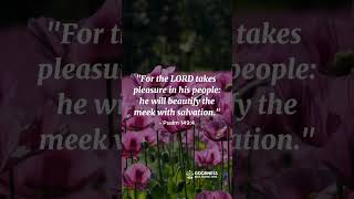 God Delights in You! | Verse of the Day