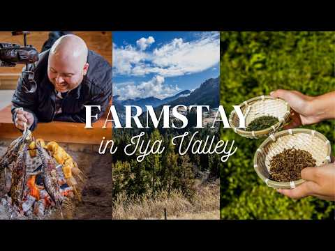 Farmstay in Iya Valley | Tokushima, Japan