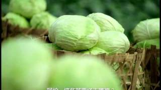 Re: [討論] 海神奪冠是不是可能優惠最實際