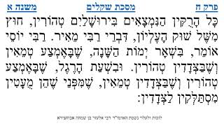 מסכת שקלים פרק ח משנה א