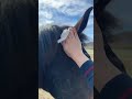 Salviette per pulizia cavalli alla Citronella FLY STOP Arcafarm 40 pezzi - 1121 - video