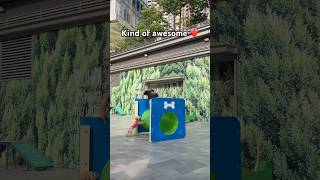 Download lagu SUBSCRIBE FOR 7 YEARS OF GOOD LUCK! 🍀😅 #dogshorts #dog #puppy #pets #dogs #cute #cutedog #funny mp3