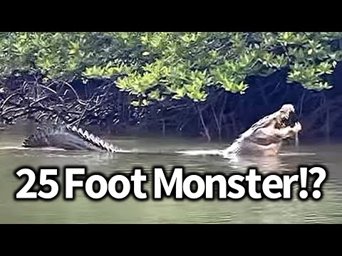 Giant Crocodile Seen in India, Port Blair Giant