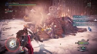 モンスターハンターワールド：アイスボーン_20260209181139