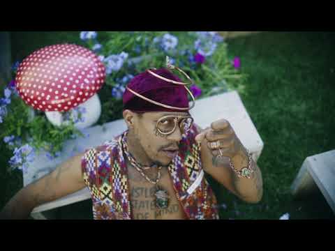 Mushroom Tea - D'rok THE Menace [Official Music Video]