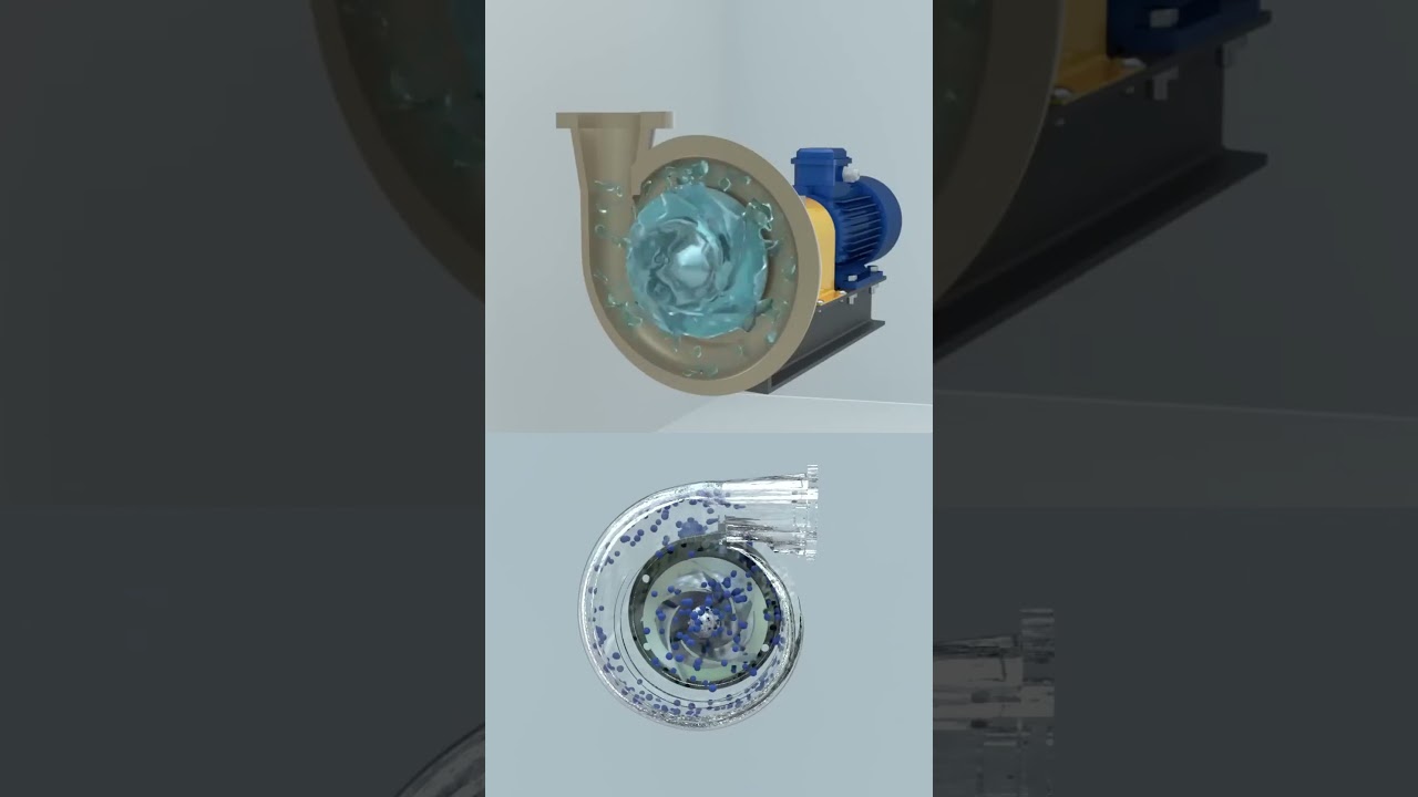 How does a centrifugal pump work? #pump  #centrifugal pump