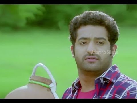 Brindavanam - Eyi Raja Song - The desi music leaves me energized!
