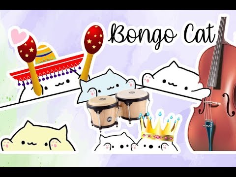 Bongo Cat Plays Different Instruments Music Video - YouTube