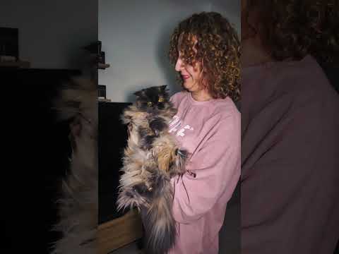 ÇOK KARA KIŞLAR GÖRDÜM... #shorts