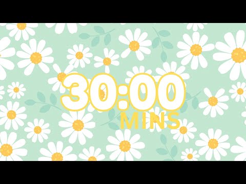30-Minute Countdown Timer – Lo-Fi Study & Work Music 🎵for Deep Focus✨