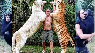 Download lagu REAL TARZAN RAISED WITH TIGERS KODY ANTLE mp3 Download lagu REAL TARZAN RAISED WITH TIGERS KODY ANTLE mp3