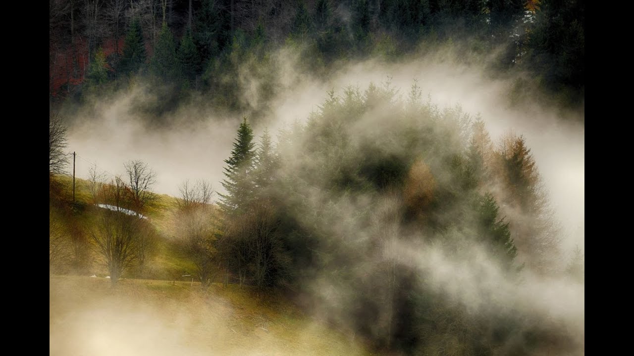 Sifilide: i segnali da non sottovalutare