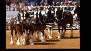 Arcadia Rodeo Slide HD.wmv