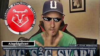 Jag såg svart (meme song)