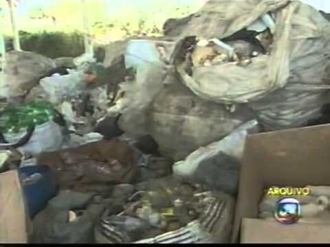 Urbanize Sorocaba: PET reciclado