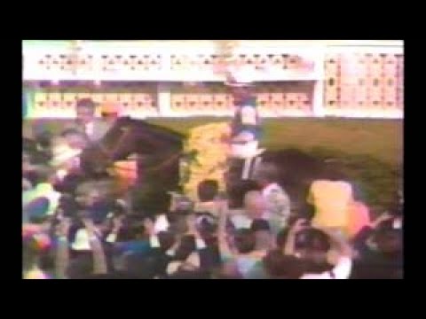 1981 Preakness Stakes Pleasant Colony : ABC Broadcast