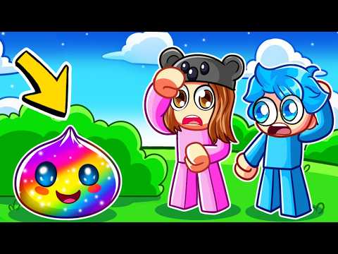 Finding EVERY SQUISHY DUMPLING In Roblox...