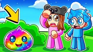 Finding EVERY SQUISHY DUMPLING In Roblox...