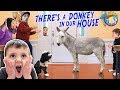 DONKEY in our HOUSE!!! Meet the Newest Family Member, WOODROW! (FUNnel Fam Farm Vlog)