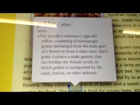 How to Use the Built in Dictionary on iPad