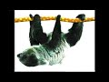 Henry S Amazing Animals Animal Records Tortoise Rabbit