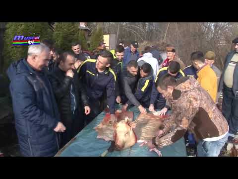 Jurnal MUSCEL TV 07.12.2021 SPORT – fotbal CJ Nord - finalul etapei tur