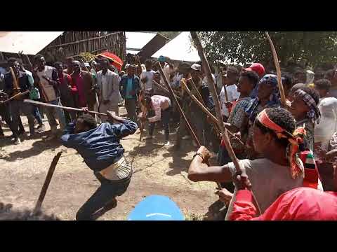 musica.dancee yaa addaa orrommo https://www.youtube.com/@jamaree781