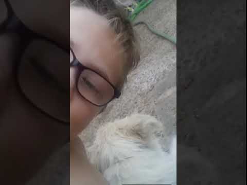 Jugando tortugas ninja leyendas