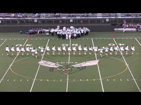 20130927 Edina Hornettes Homecoming