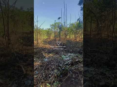CHÁCARA EM SETE BARRAS INTERIOR DE SÃO PAULO.