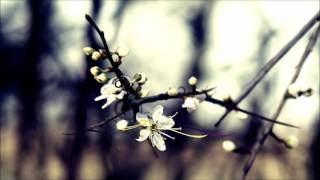 The Thrillseekers - Halcyon 2016 (Original Mix)