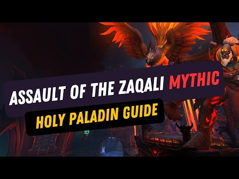 Assault of the Zaqali Mythic, Guide for Holy Paladin