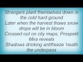 Calexico - Red Blooms Lyrics