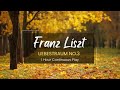 Liebestraum No 3 Love Dream By Franz Liszt 1 Hour Continuous Play