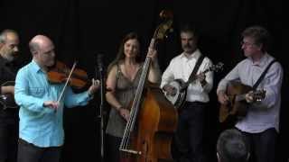 John Reischman & The Jaybirds - Set 2 at the Fifth String