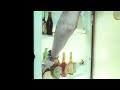 Sid Vicious - Something Else Music Video