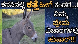 Kanasinalli Kathe Bandare Donkey in Dream Meaning