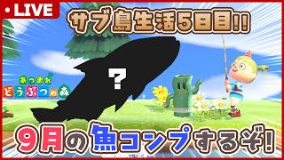 【あつ森】図鑑コンプに向けて9月のサカナ釣り🎣猫住民だけのサブ島生活を始める🌲5日目【あつまれどうぶつの森】